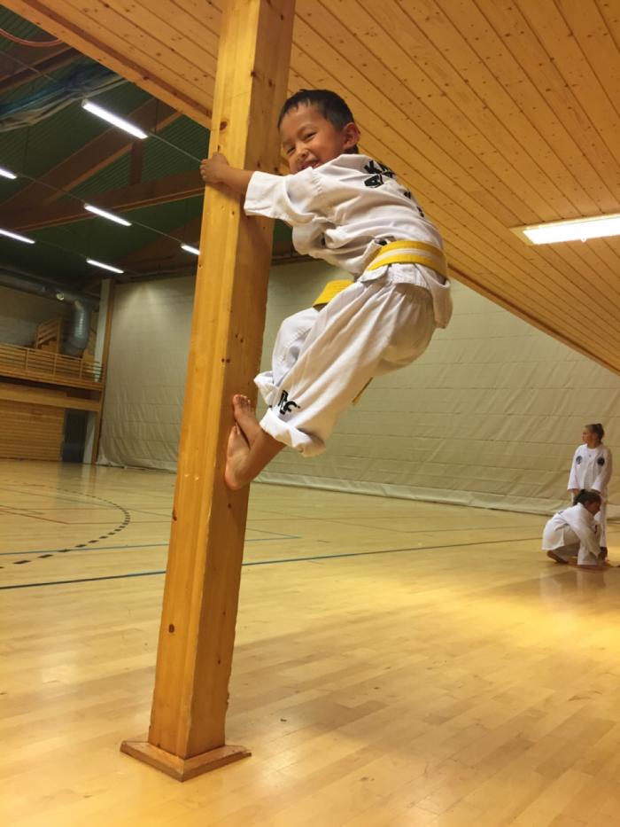 Yellow belt · March 15, 2016 · Promoted by Roy Rolstad