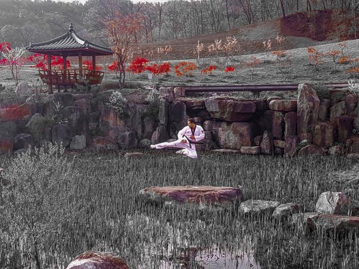 Tymio Yop-Chagi at the traditional Trainingarea in Taekwondowon (Muju)