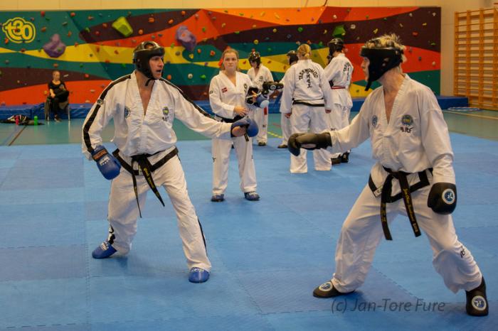Sparring Seminar in 2018