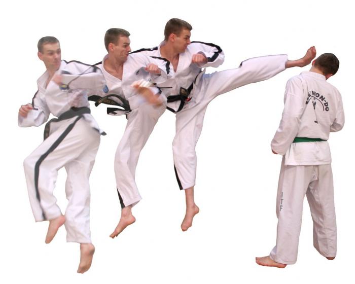 Flying Reverse Turning Kick pic for my first book