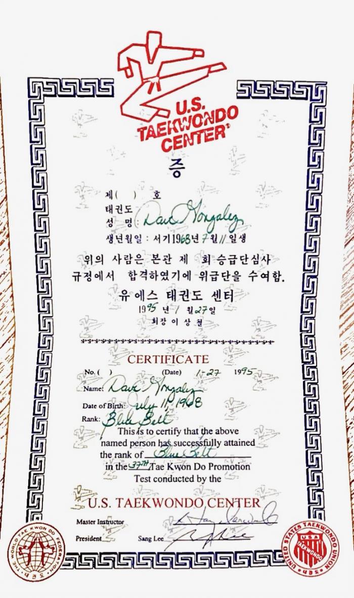 Blue belt · December 22, 1993 · Promoted by Bak Cheol Soo