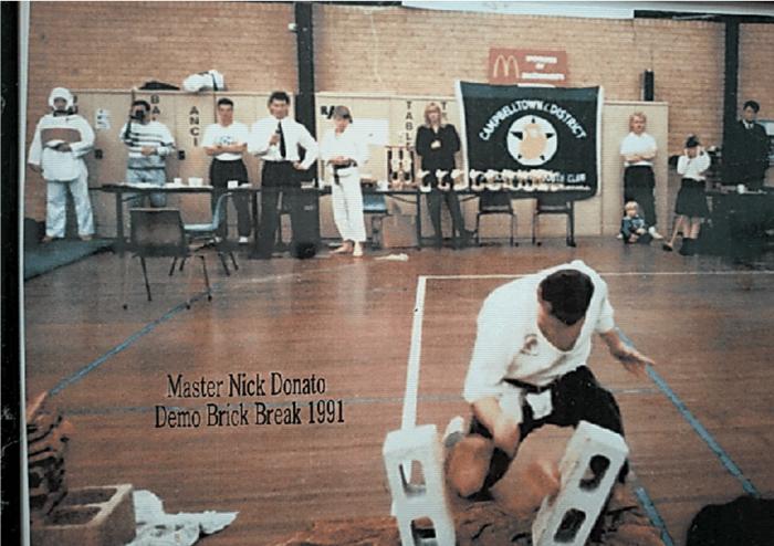 Brick Breaking Demo 1991