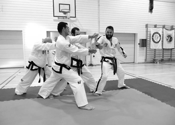 Black belt 6th dan · June 10, 2021 · Promoted by Per Christian Garnæs