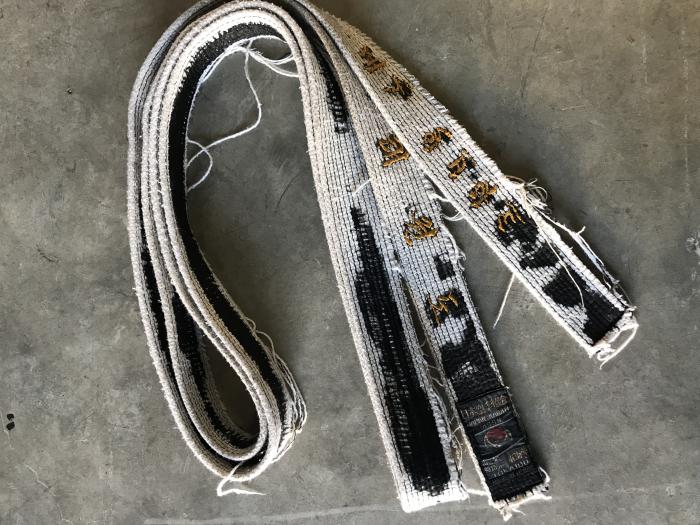 Black belt 2nd dan · February 13, 1992 · Promoted by Jay Warwick-Larry Lam