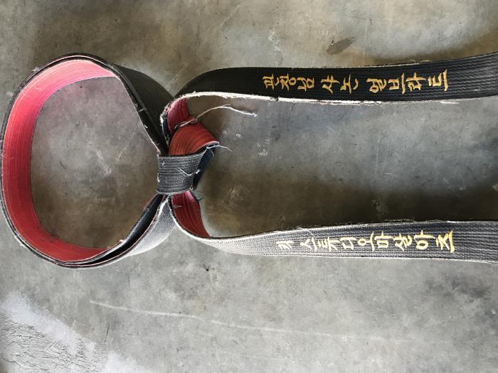 Black belt 5th dan · November 4, 2003 · Promoted by Larry Lam
