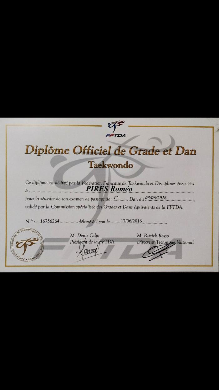 Black belt 1st dan · June 5, 2016 · Promoted by Ligue de Taekwondo IDF