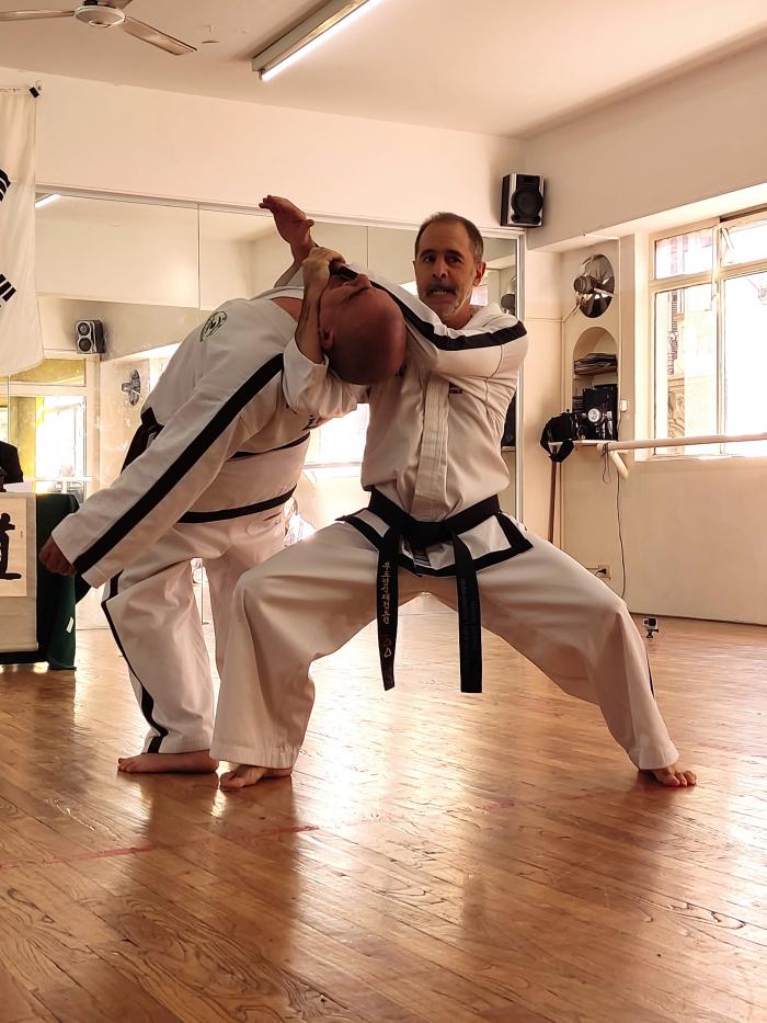 Black belt 8th dan · July 21, 2022 · Promoted by Lee, Yoo Sun and Kim, Han Chang